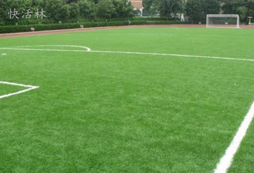  图卢兹主场草皮质量问题引争议  